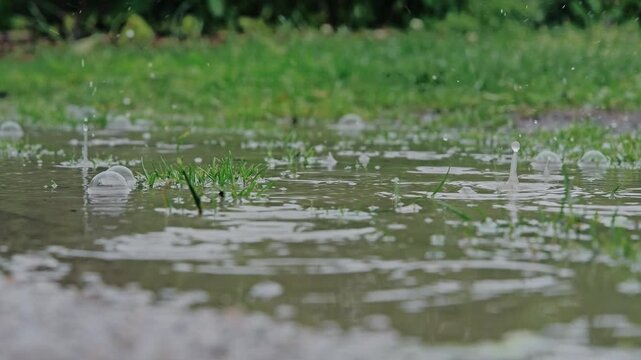 Slow motion shows raindrops forming bubbles and ripples over shallow floodwater