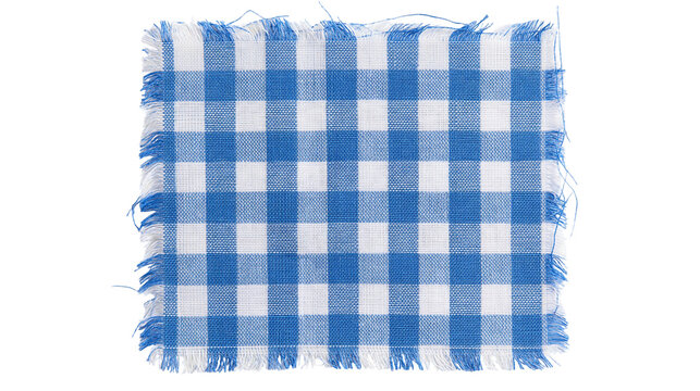 Blue and white checkered gingham fabric swatch with frayed edges