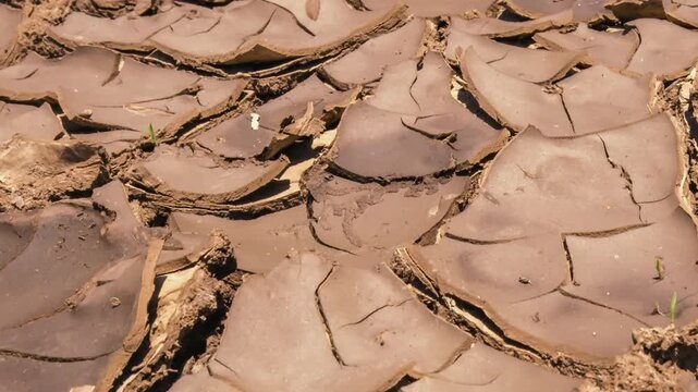 Close-up time-lapse of cracking and erosion of dry soil due to drought.