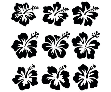 Set of black hibiscus flower silhouettes isolated on a white background vector graphic design.