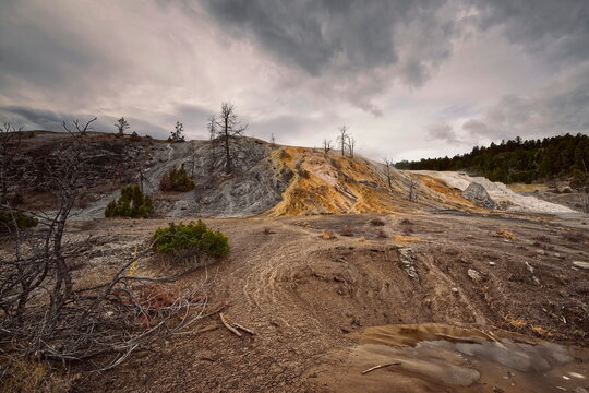 The Palette Spring runoff forms travertine shelves dyed in ochre-orange-white by thermophilic bacteria, Mammoth Hot Springs. Yellowstone NP-WY-USA-005