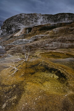 Mound and Jupiter Terraces, Mammoth Hot Springs: tiered, algae-and-bacteria-colored travertine pools under an overcast sky. Yellowstone NP-WY-USA-017