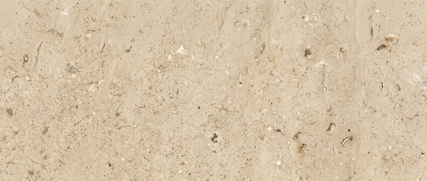 Honed stone texture in beige and neutral tones. Flat limestone slab surface with organic fossil inclusions. Natural architectural material