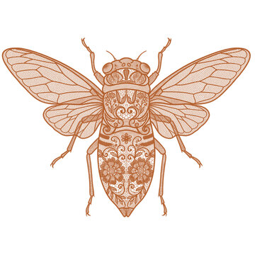 Intricate Bronze Orange Lace Cicada Silhouette with Detailed Floral Wings Isolated on Transparent Background PNG PNG Transparent