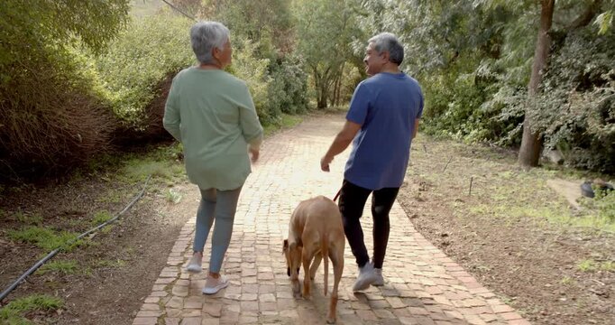 Lifestyle videos outdoor of people doing activities, walking on brick path, senior couple with dog e