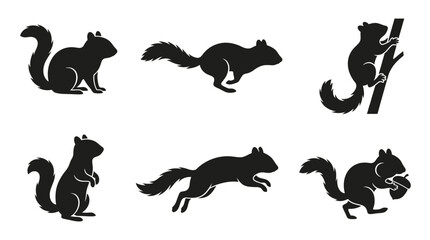 Obraz premium vector of squirrel silhouette animal illustration nature