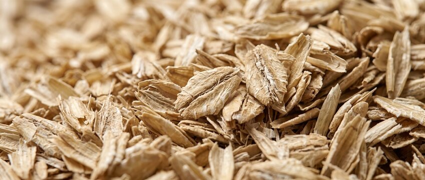 Close-up of oat husks texture background. Macro view of agricultural grain hulls and chaff