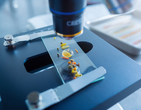 Palynology Pollen Reference Microscope Slide Tray