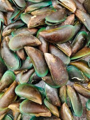 Fresh Raw Green-Lipped Mussels Piled High - Full Frame Texture © Henry djiauw
