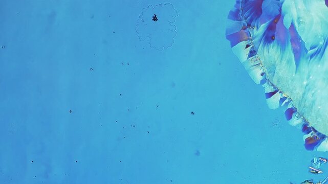 Real time opposing crystal growth under polarized light microscopy showing rapid deceleration and leaving empty liquid gap between two beautiful birefringent structures