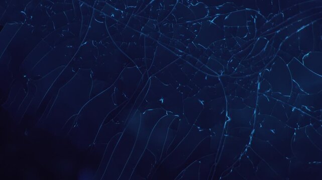 Fluorescence UV 365nm microscopy of marine collagen and urea mixture with moving ultraviolet light source showing dynamic glowing neon blue texture changes for futuristic science background