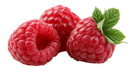 Fresh ripe red raspberries with green leaves © Ari