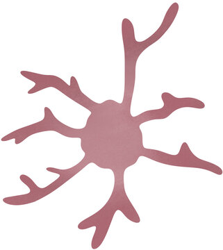 microglial cell illustration