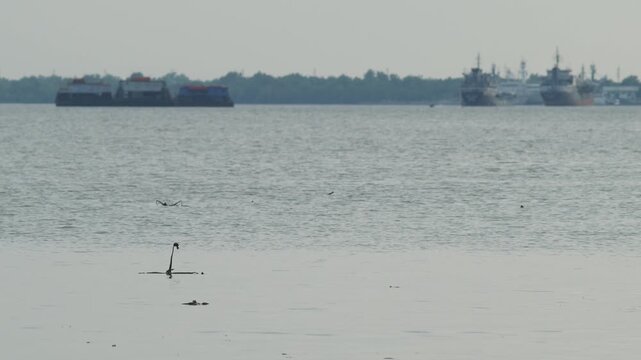Calm river atmosphere at dusk with drifting debris on water surface, distant cargo ships and hazy tree-lined horizon, tranquil evening waterway footage