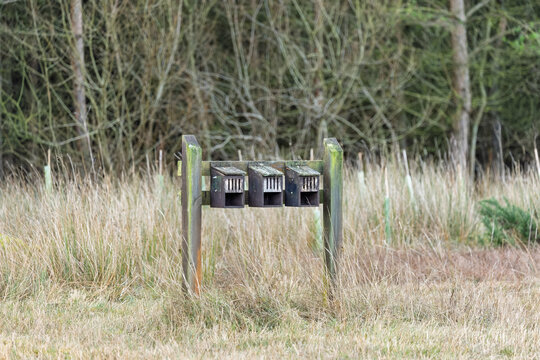 Three wooden butterfly hotels on post frame in community woodlan
