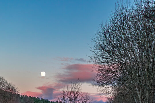 Full moon rising over winter woodland at twilight with pink clou