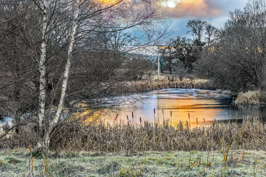 Sunset reflected in frozen wildlife pond at community woodland