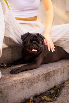 Young woman sitting on stairs with her pug dog in the park