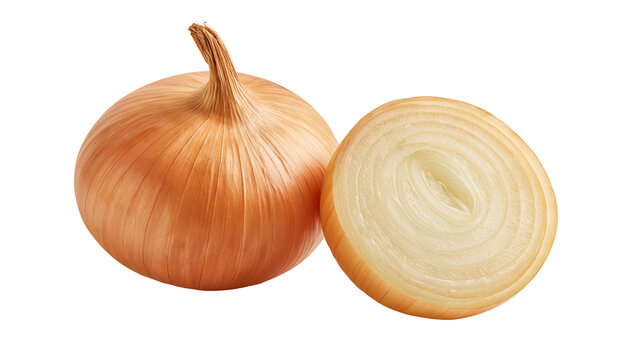 Whole yellow onion and a sliced half showing internal concentric ring layers
