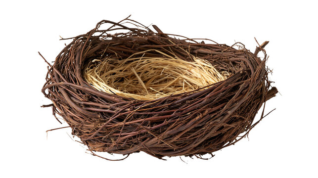 Empty bird nest made of woven brown twigs and dry yellow straw grass