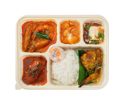 Malaysian bento box set with curry prawns, spiced chicken, tofu, and white rice top view