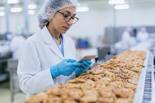 The Cookie Production Line Quality Control Inspector in a Modern Factory