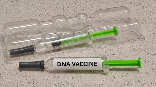 DNA VACCINE plasmid DNA platform delivering genetic instructions for a target antigen