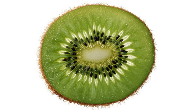 Fresh sliced kiwi fruit cross section with black seeds and vibrant green flesh
