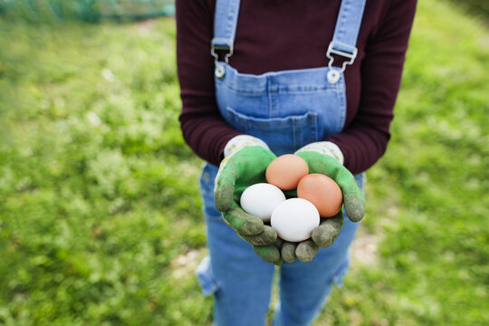 Farmer woman holding organic eggs next to an henhouse - Farm and countryside lifestyle concept - Focus on pink right egg - UGC wide lens content