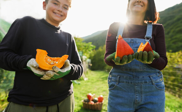Mother and son holding organic pumpkins with hands inside vegetable home garden - Family people having fun during fall season - Autumn lifestyle concept - Main focus on hands - UGC wide lens content