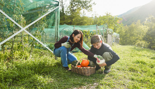Mother and son collecting organic pumpkins while cuddling a chicken inside vegetable home garden - Family people having fun during fall season - Autumn lifestyle concept - UGC wide lens content