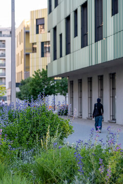 Pedestrian walking beside landscaped planting and modern apartments in Nordbahnviertel Vienna Austria showing greenery integrated into everyday urban life
