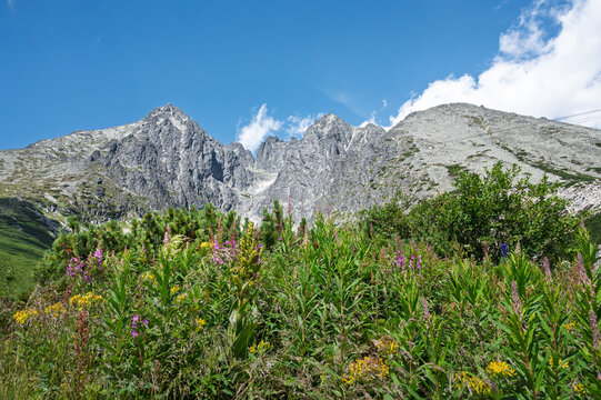 Stunning summer panorama of the Lomnicky Stit, the second highest summit in High Tatras, Slovakia
