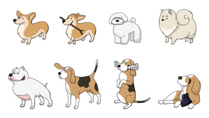 Obraz premium Cartoon dog breeds collection vector illustration with corgi poodle beagle and bulldog