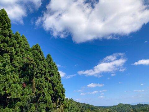 森と山に広がる青空