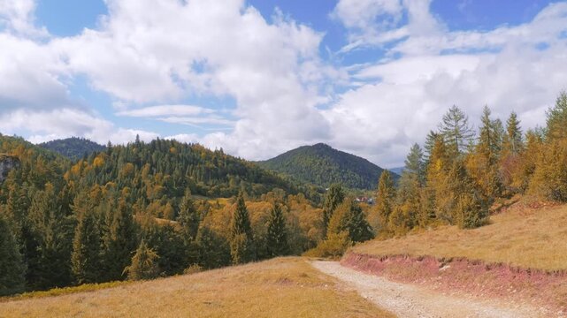 A picturesque panorama of the Pieniny mountain range in the Malopolska region, Poland. scenic view of golden rolling hills and mixed forest under a cloudy sky during late summer or early fall
