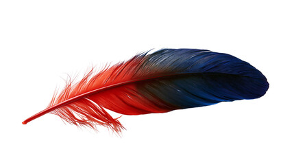 Vibrant red and dark blue gradient bird feather with soft delicate texture © Isolde