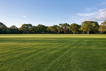 Fototapeta premium The Expansive Green Field in a Serene Park Setting under Bright Blue Sky