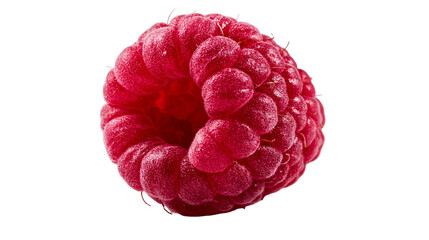 Single fresh ripe red raspberry with textured drupelets © Isolde