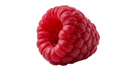Single ripe red raspberry fruit with textured drupelets © Isolde