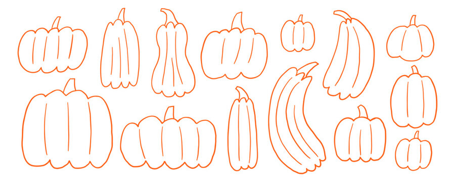 Doodle Line Thanksgiving Pumpkin Set. Cute Outline Fall Halloween Pumpkins Kit. Simple Gourd Food Harvest Collection. Handdrawn Organic Vector Contour Illustration