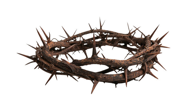 Woven crown of thorns made from sharp brown woody branches