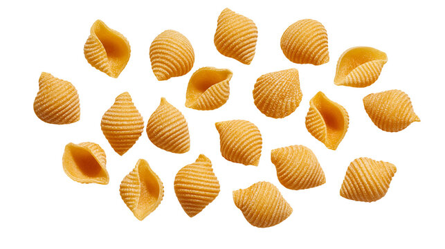 Dry uncooked conchiglie pasta shells arranged in a scattered pattern