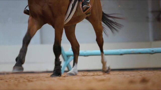 Horse jumping over a blue obstacle in an indoor arena, showcasing the horse's powerful legs and dynamic movement during the riding session