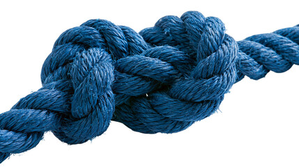 Thick blue twisted nylon rope tied in a secure figure eight knot © Andrei