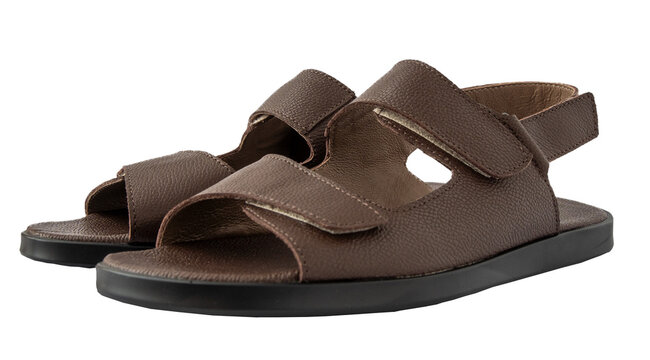 Brown Leather Sandals with Straps Isolated on White Background. Summer shoes pair cut out