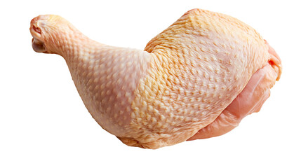 Raw chicken leg quarter with skin on © Andrei