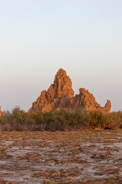 A limestone chimney rock formation rises above dense tamarisk bushes, Afar depression, Lake Abbe, Djibouti