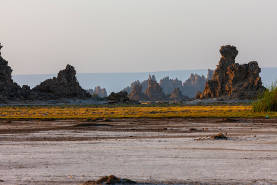 Limestone chimneys rise from the barren landscape at dusk, Afar depression, Lake Abbe, Djibouti