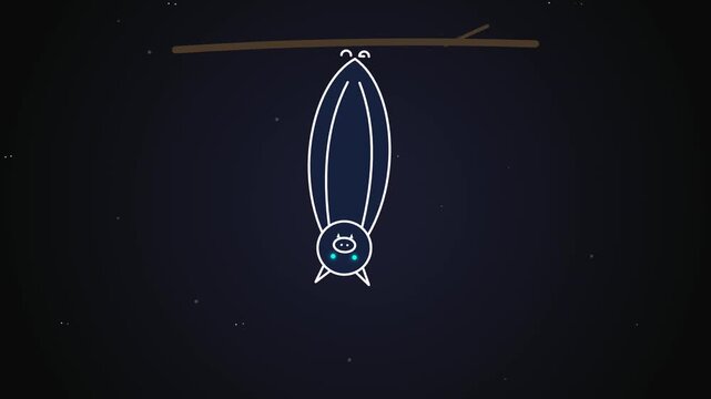 Cute Bat Hanging Upside Down Animation